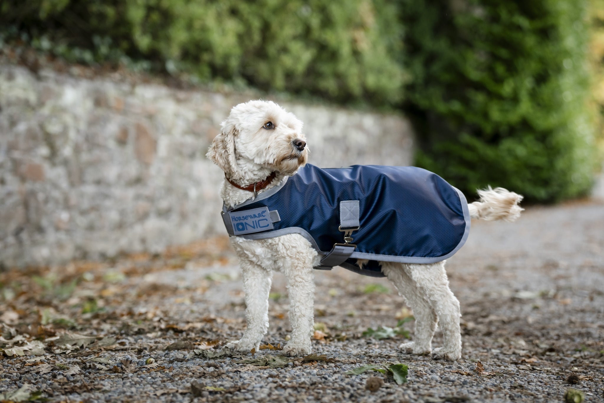 Horseware Ionic Therapy Dog Coat 50g