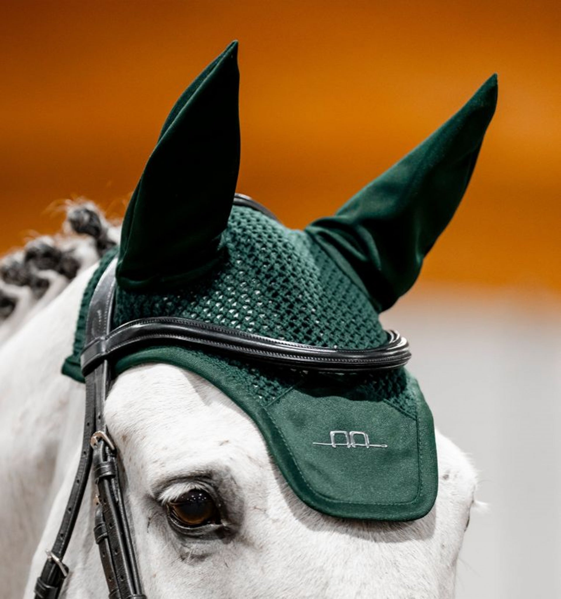 Alessandro Albanese Ear Net