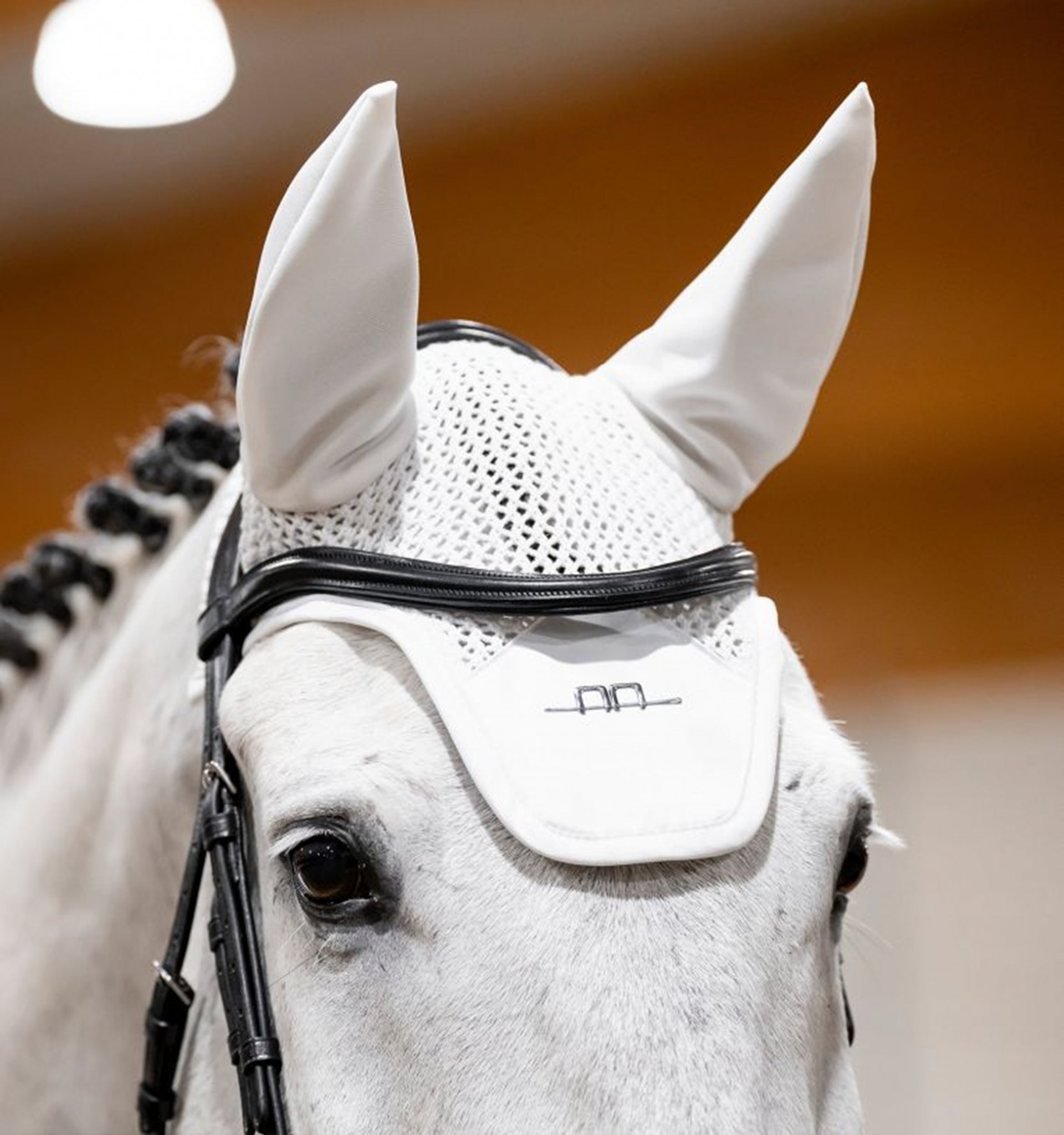 Alessandro Albanese Ear Net - Image 7