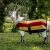 Horseware Newmarket Goat Fleece