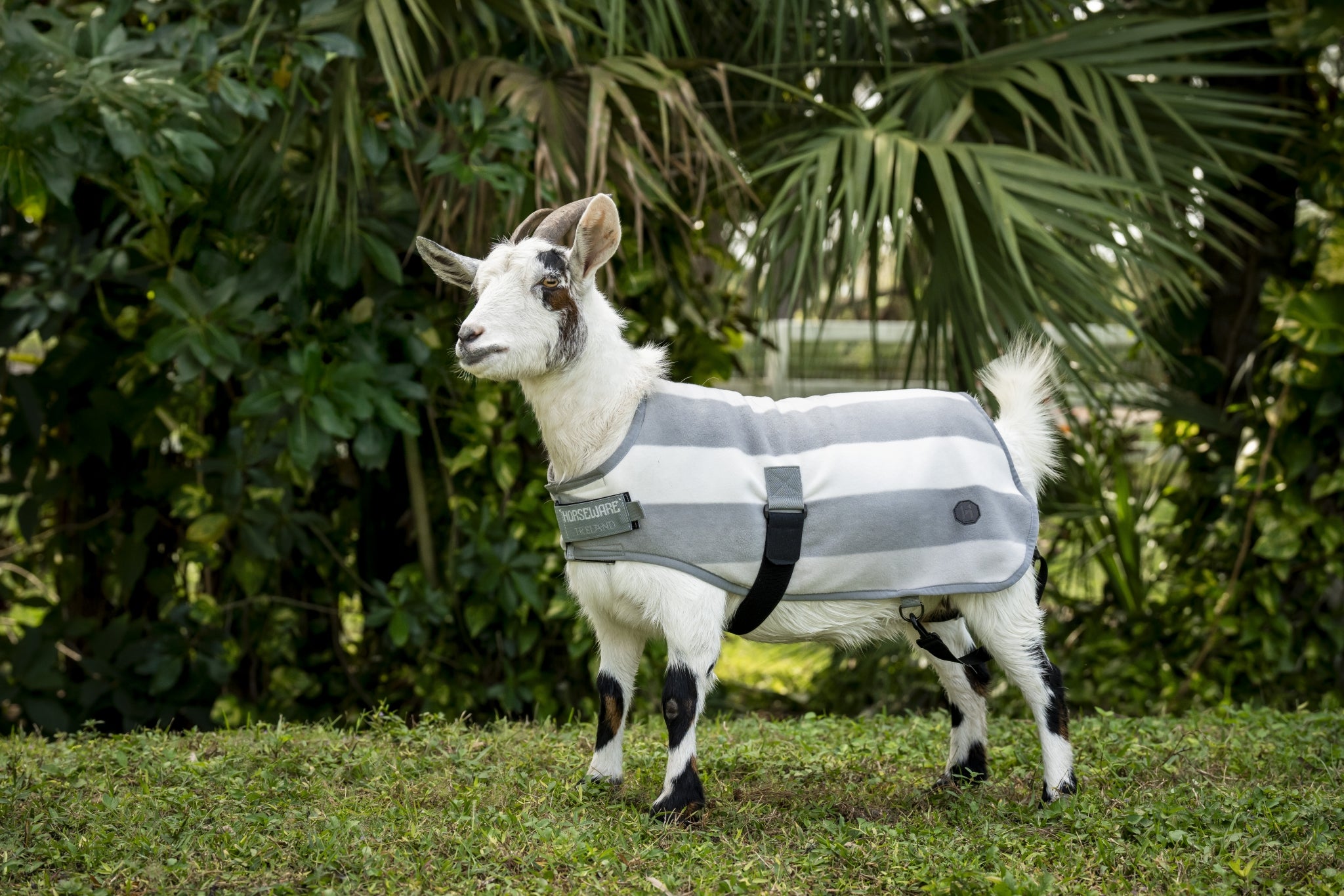 Horseware Newmarket Goat Fleece - Image 3