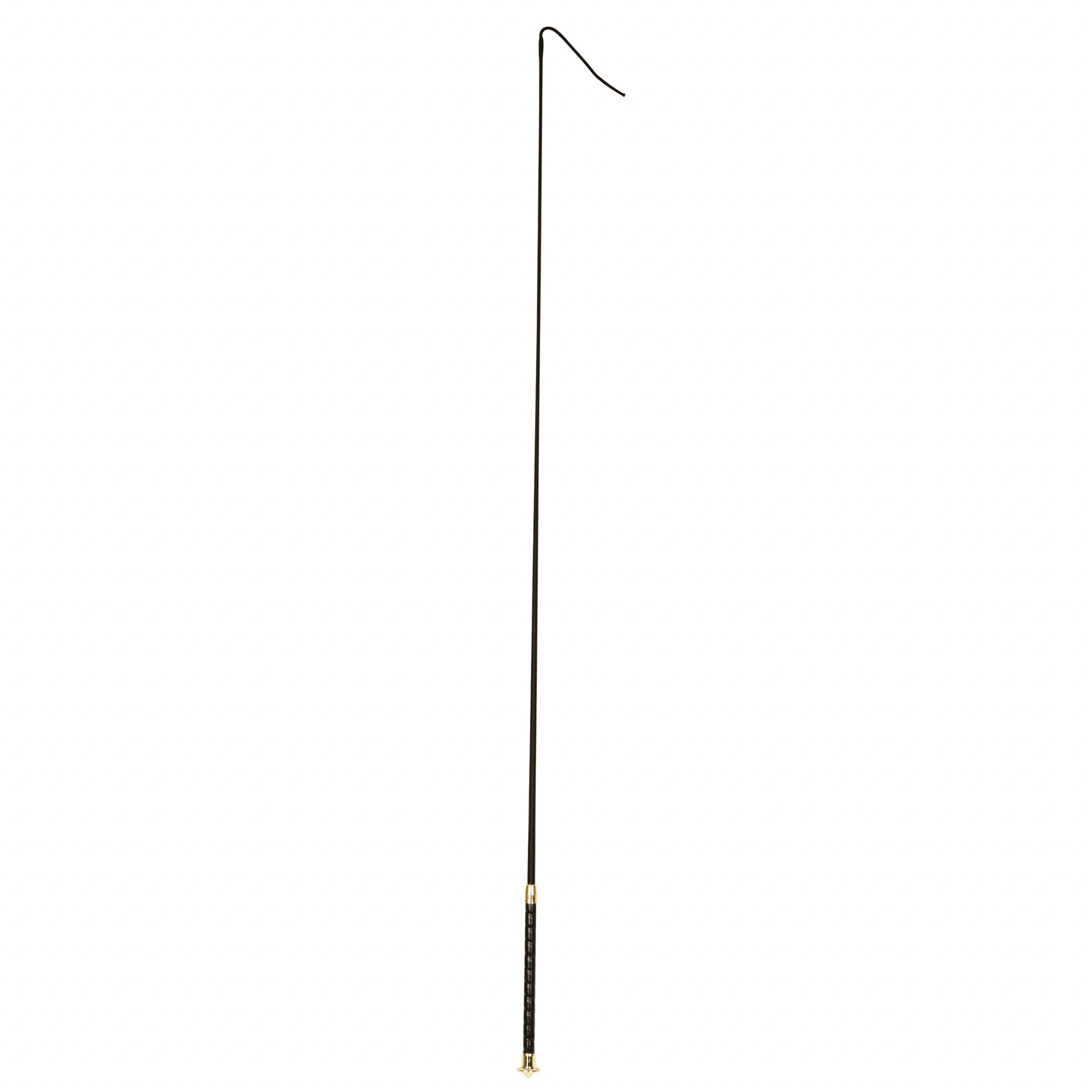 Dublin Dressage Whip with Leather Grip