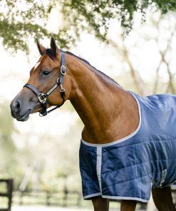 Horseware Ionic Therapy Quarter Horse Stable 50g