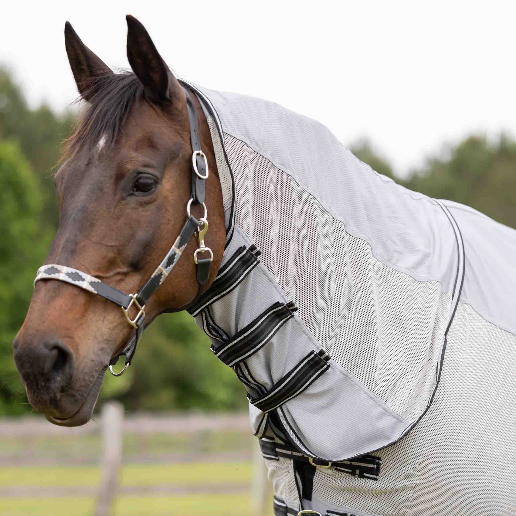 Equinavia Chill Summer Protector Sheet - Image 2