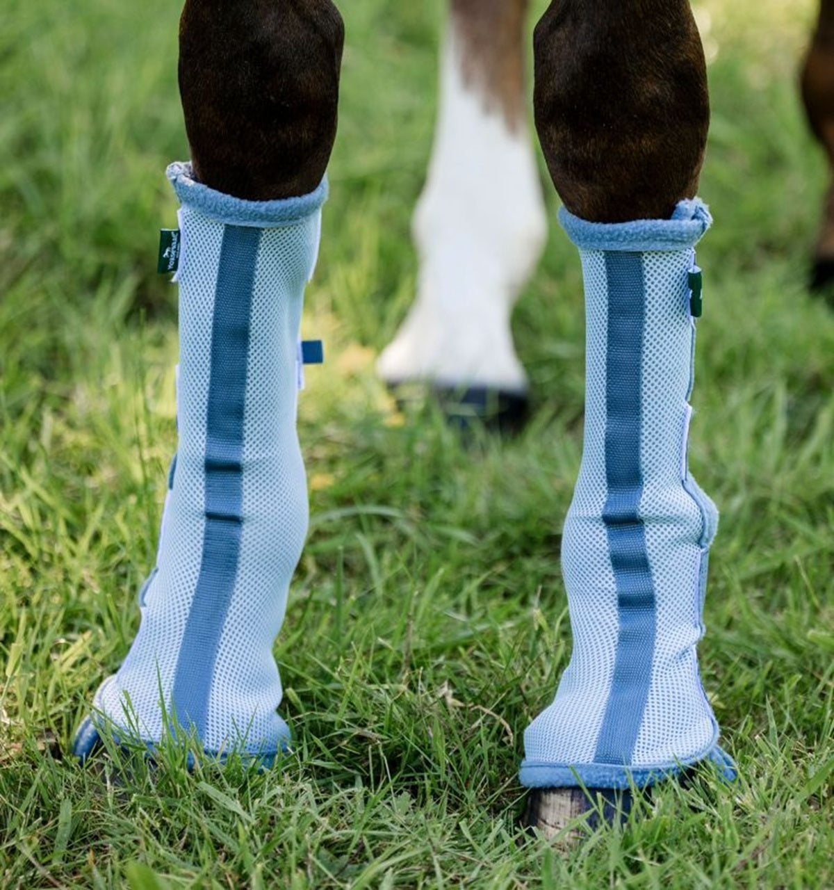 Horseware Fly Boots - Image 4