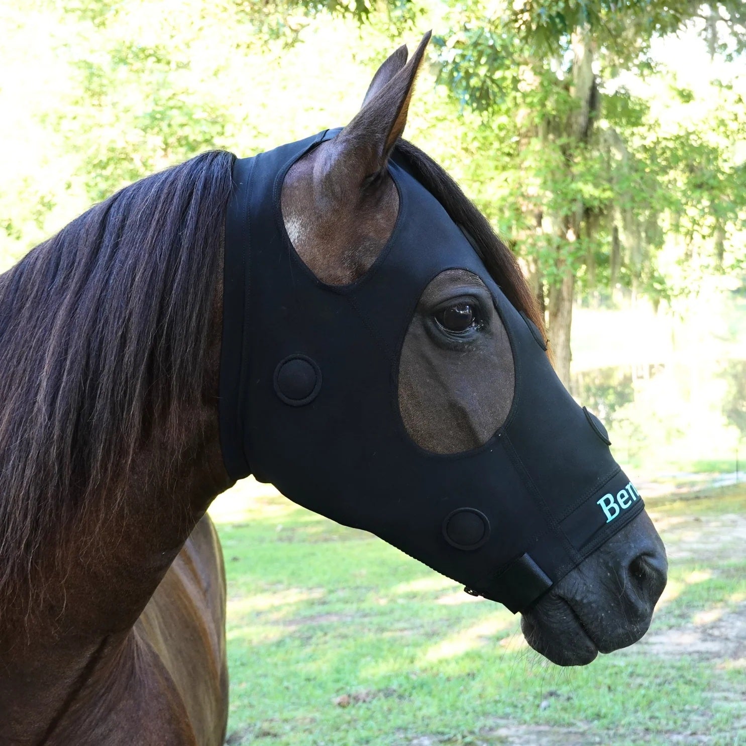 BeneFab Rejuvenate SmartMask - Image 2