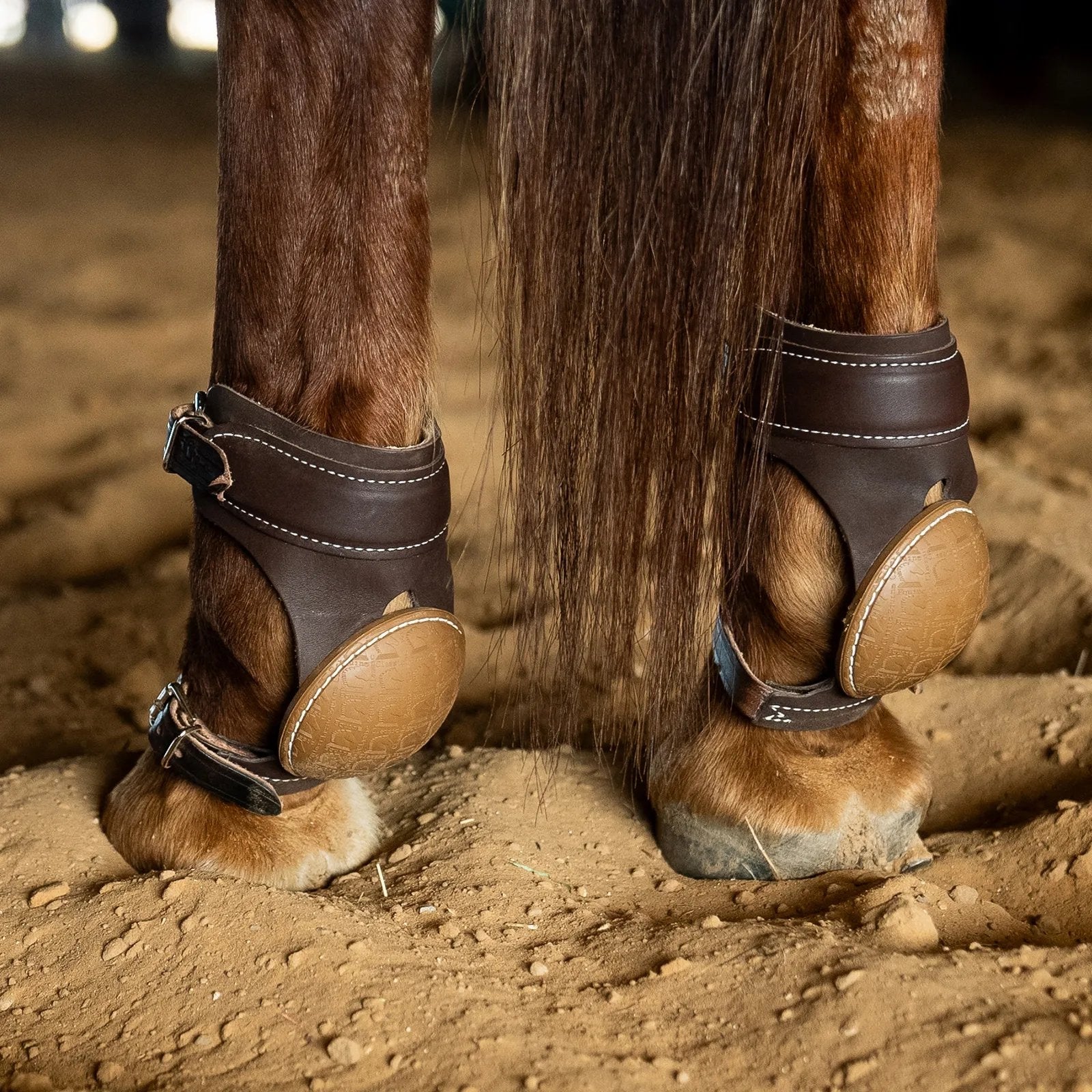 Classic Equine Pro Reiner Buckle Skid Boot - Image 3