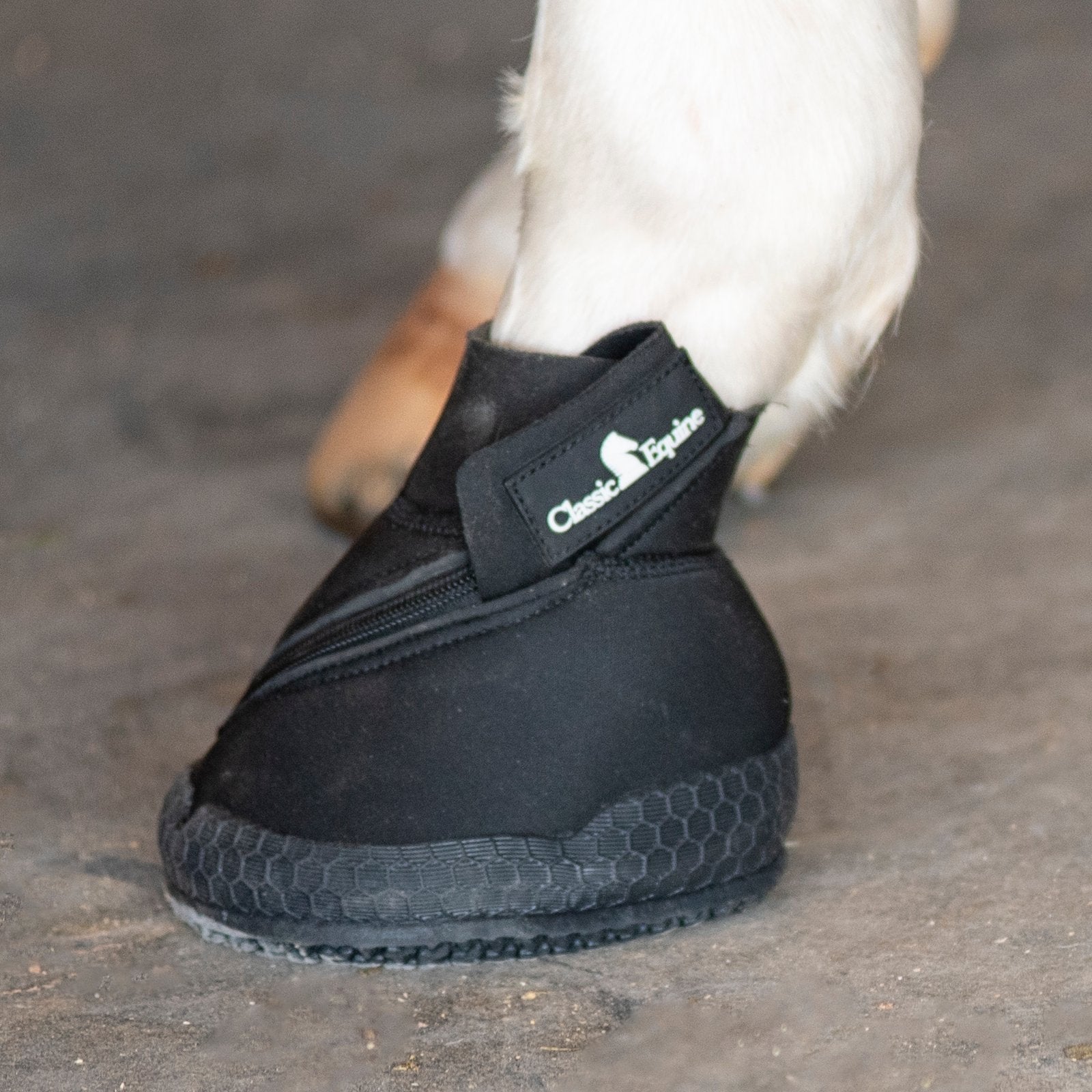 Classic Equine Medicine Hoof Boot - Image 4