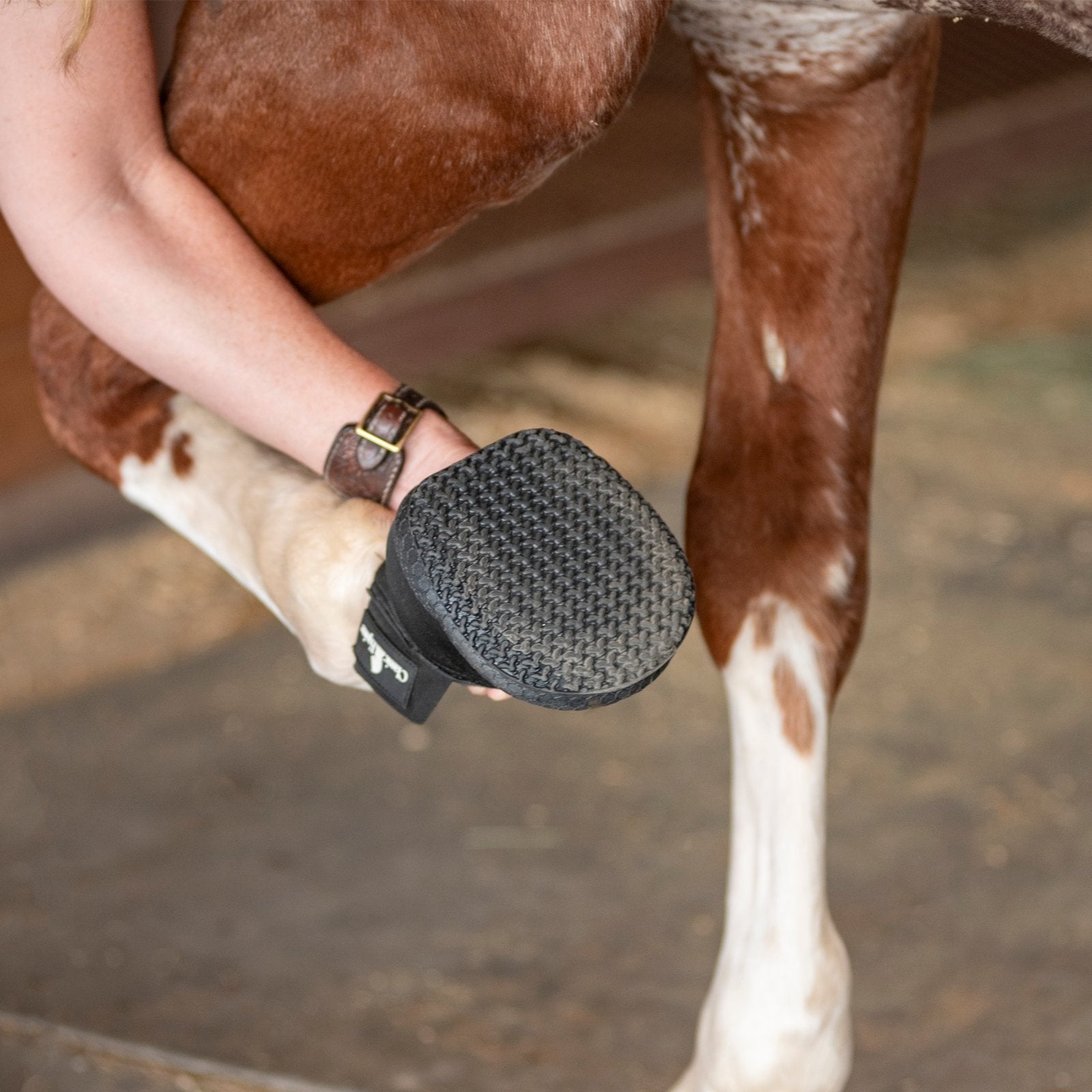 Classic Equine Medicine Hoof Boot - Image 5
