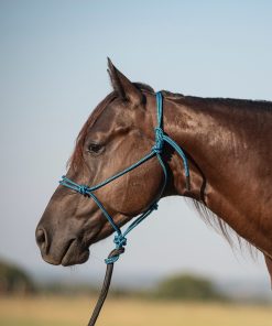 Classic Equine Rope Halter and 9 Foot Lead Rope