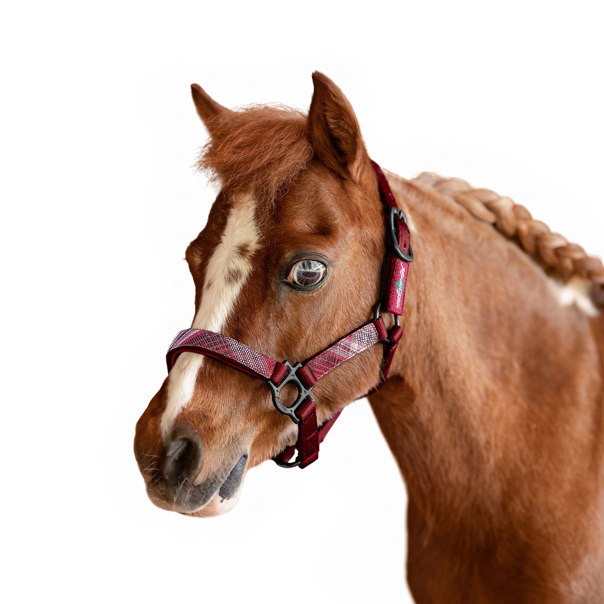 Kensington Mini Reflective Nylon Halter - Image 3