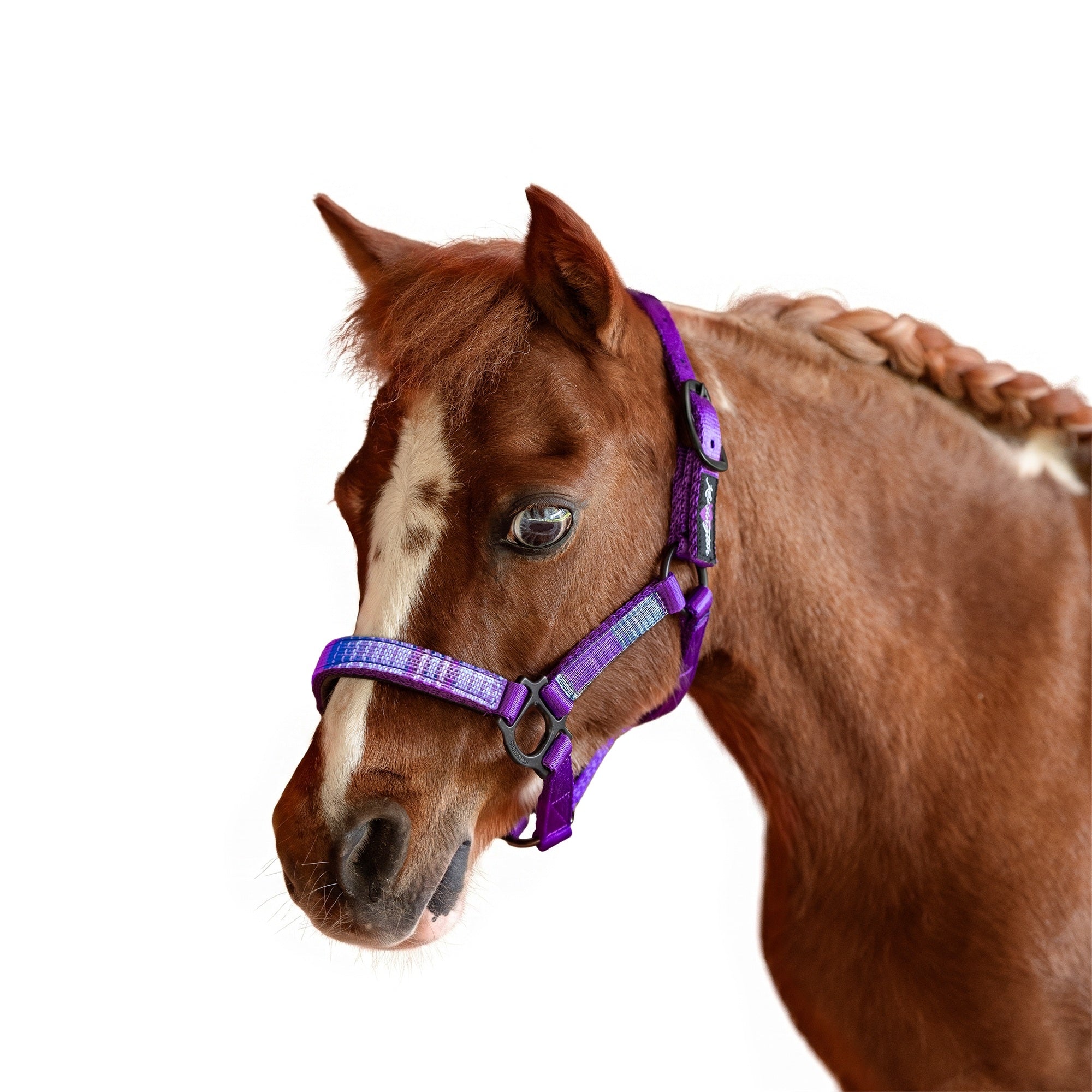 Kensington Mini Reflective Nylon Halter - Image 6