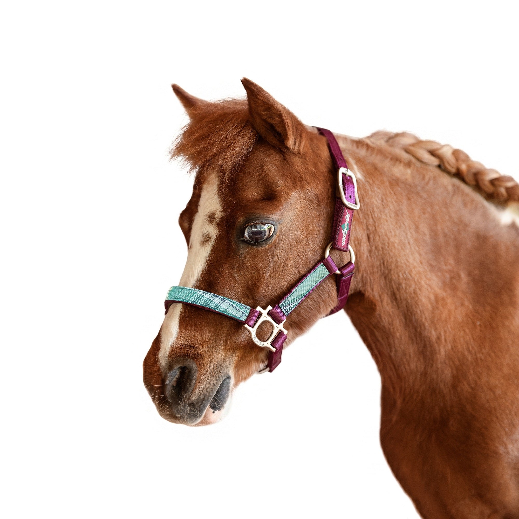 Kensington Mini Reflective Nylon Halter - Image 7