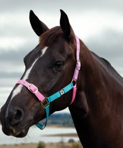 Alternative view of Dublin Everyday Breakaway Halter