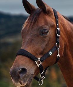 Dublin Neo Comfort Breakaway Halter
