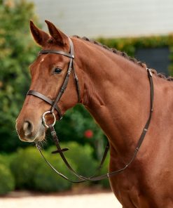 Dublin Flat Cavesson Bridle