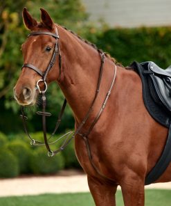 Dublin Running Martingale