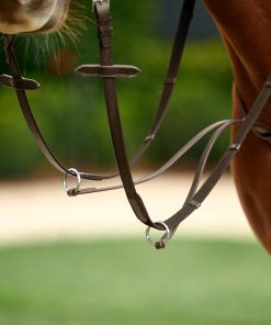 Alternative view of Dublin Running Martingale