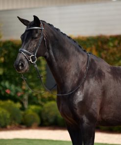 Dublin Crystal Flash Bridle