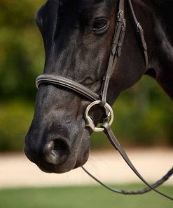 Alternative view of Dublin Padded Fancy Stitch Hunt Bridle