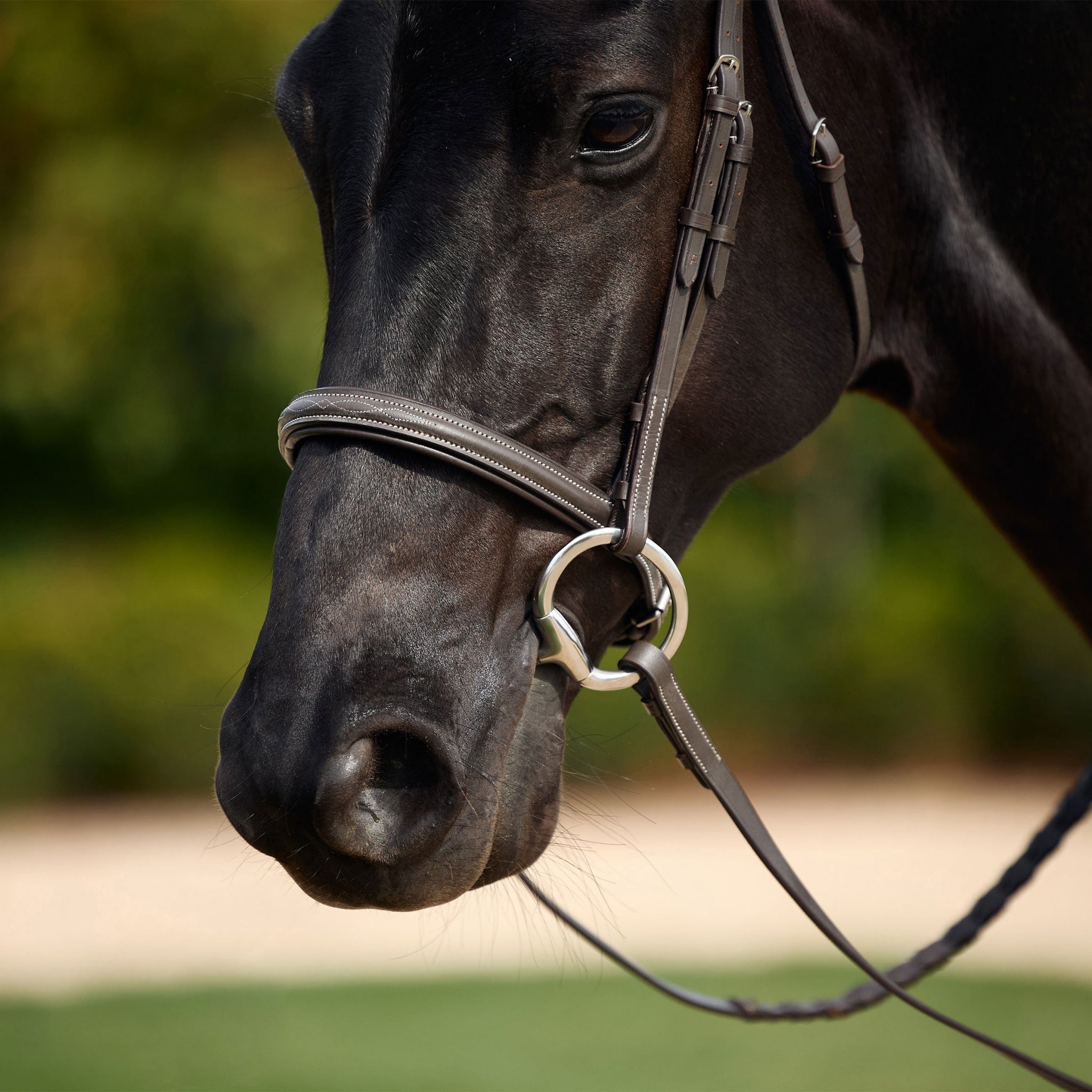 Dublin Padded Fancy Stitch Hunt Bridle - Image 2