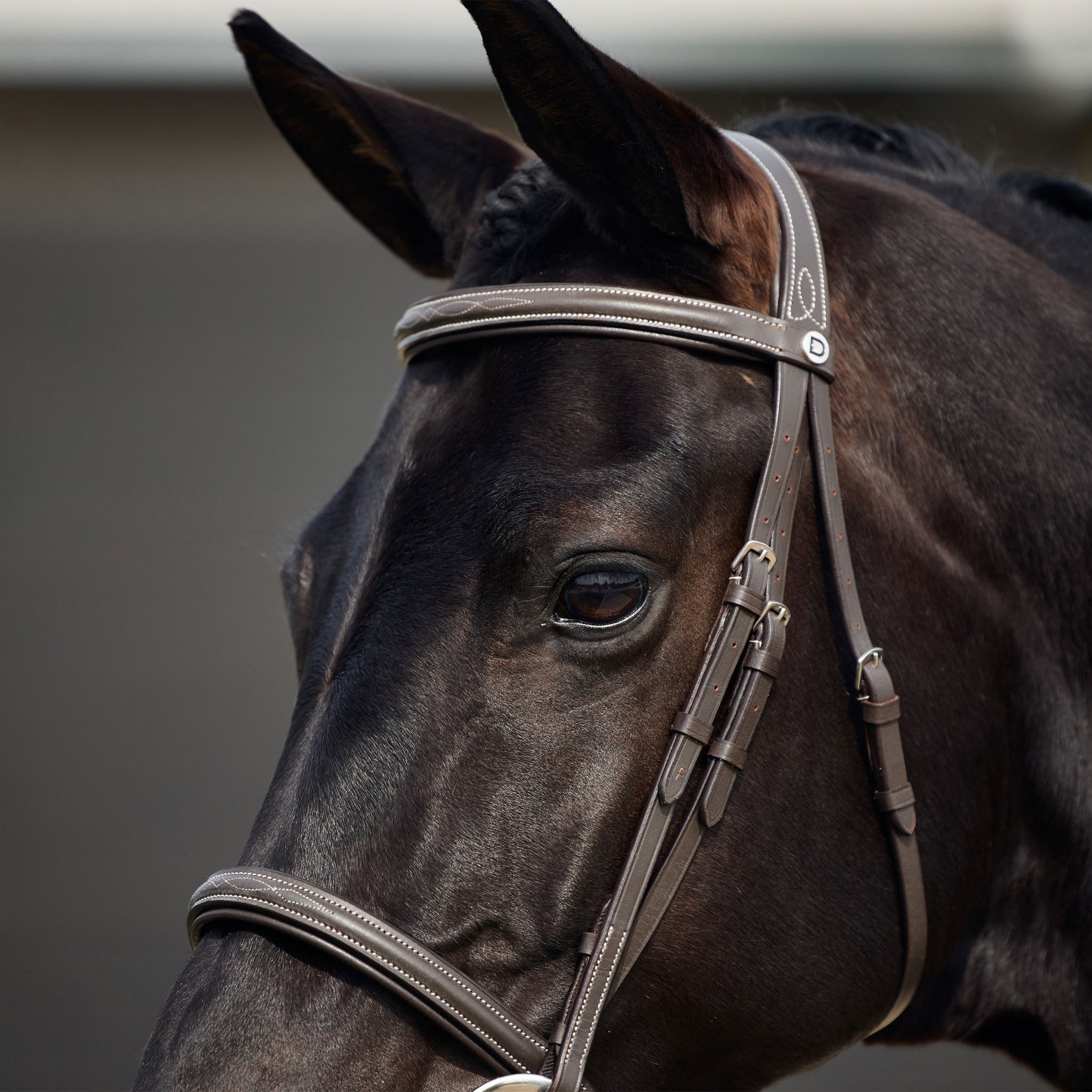 Dublin Padded Fancy Stitch Hunt Bridle - Image 3