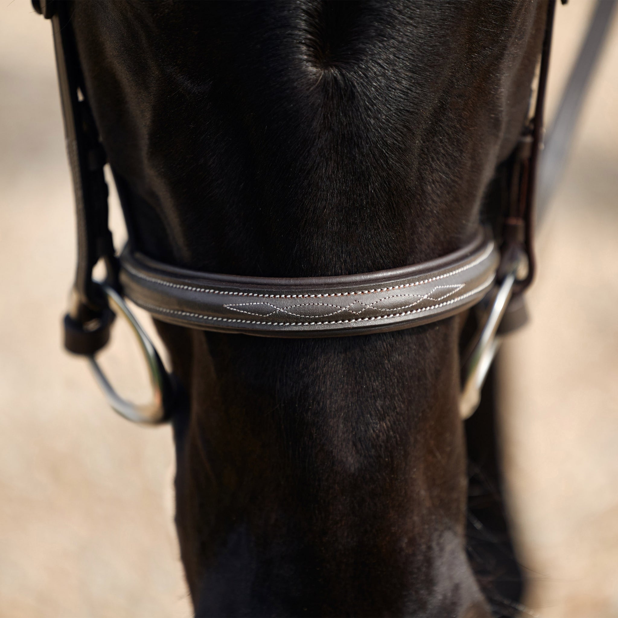 Dublin Padded Fancy Stitch Hunt Bridle - Image 5
