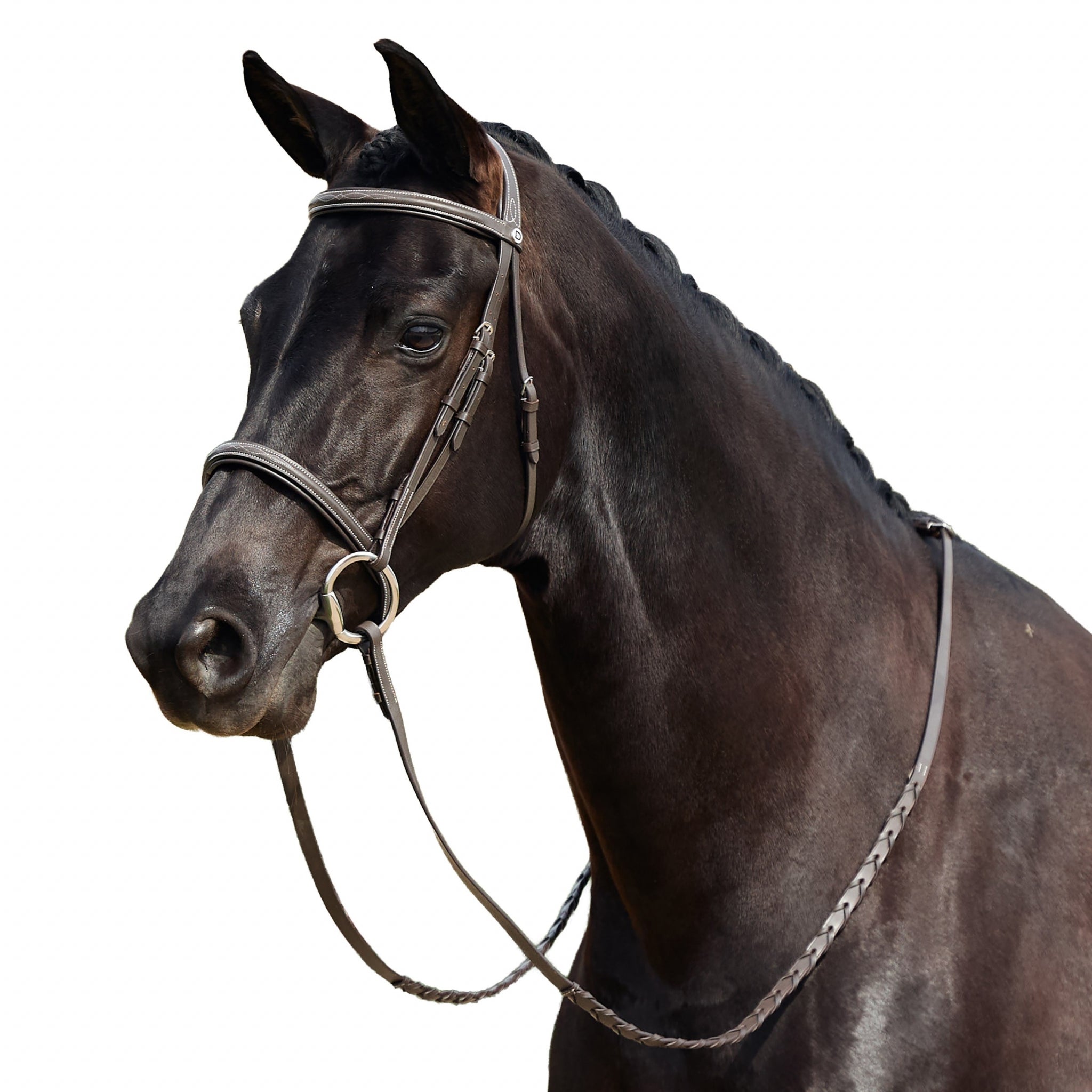 Dublin Padded Fancy Stitch Hunt Bridle - Image 6
