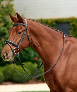 Dublin Padded Flash Bridle