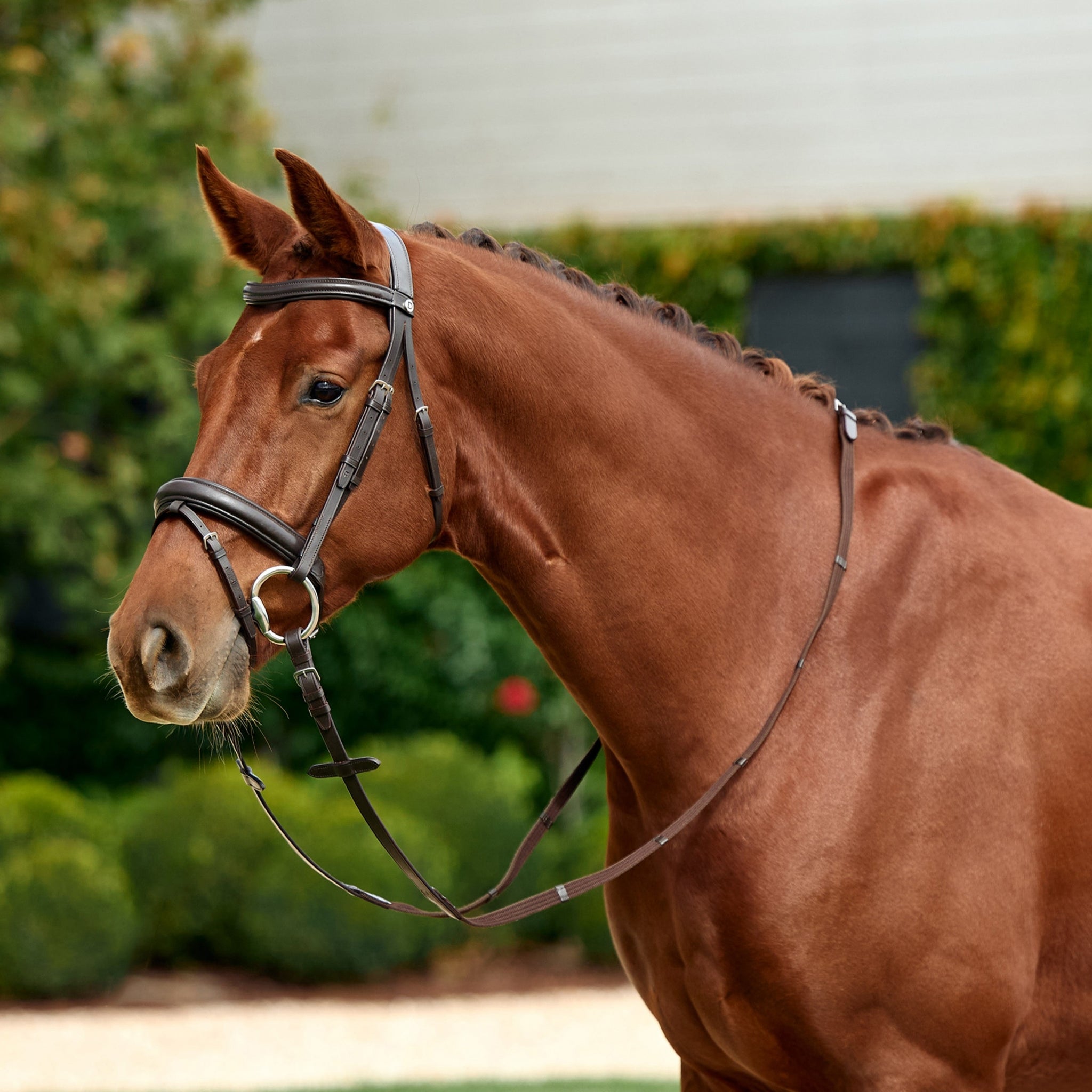 Dublin Padded Flash Bridle - Image 2