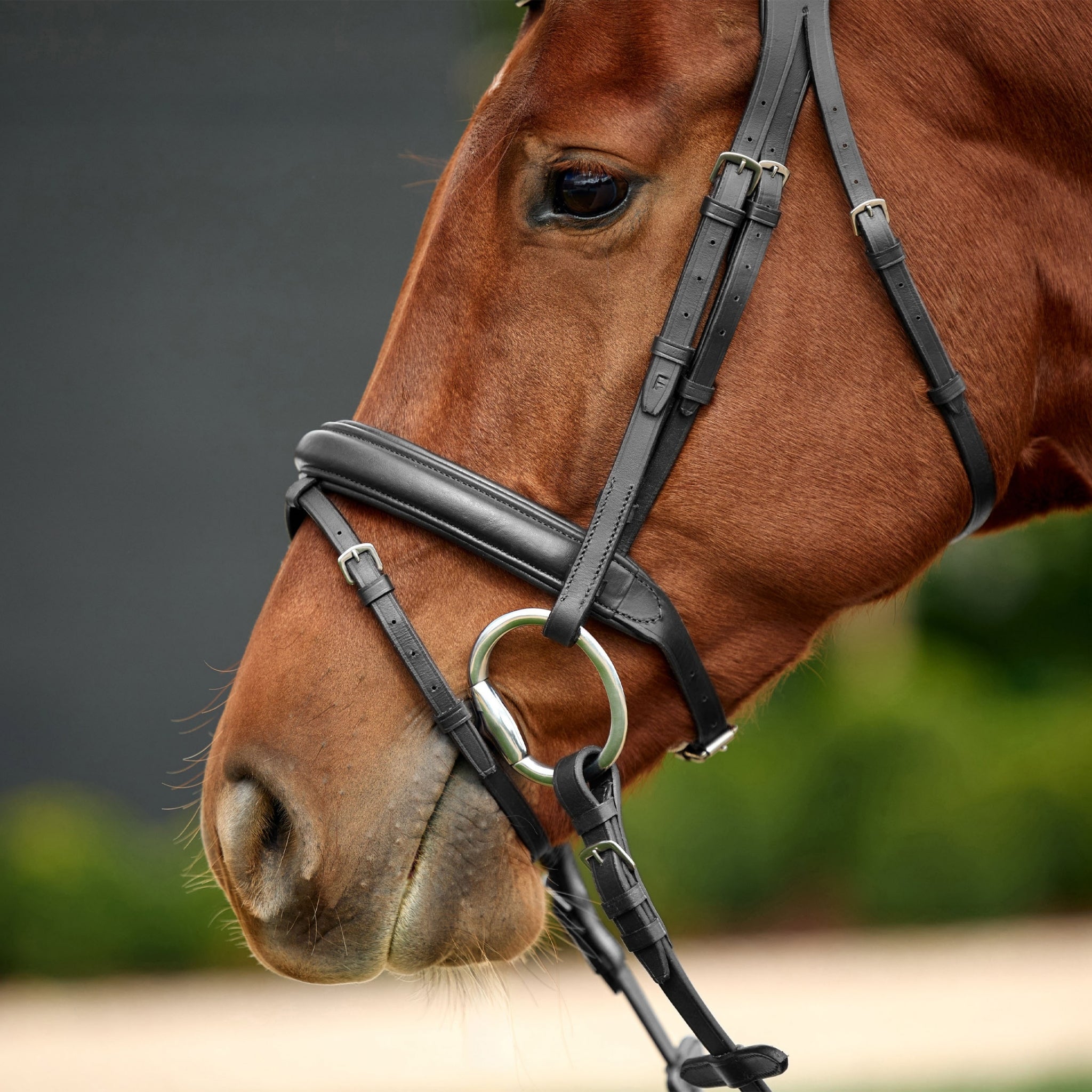 Dublin Padded Flash Bridle - Image 3