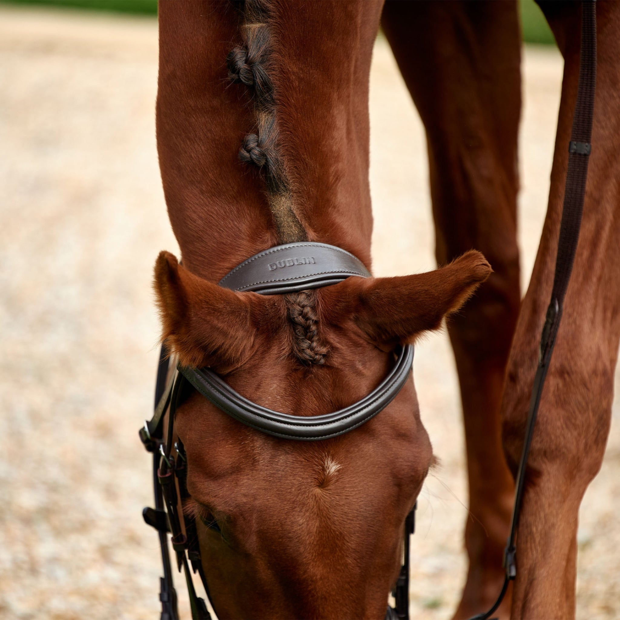 Dublin Padded Flash Bridle - Image 8