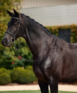 Dublin Padded Cavesson Bridle