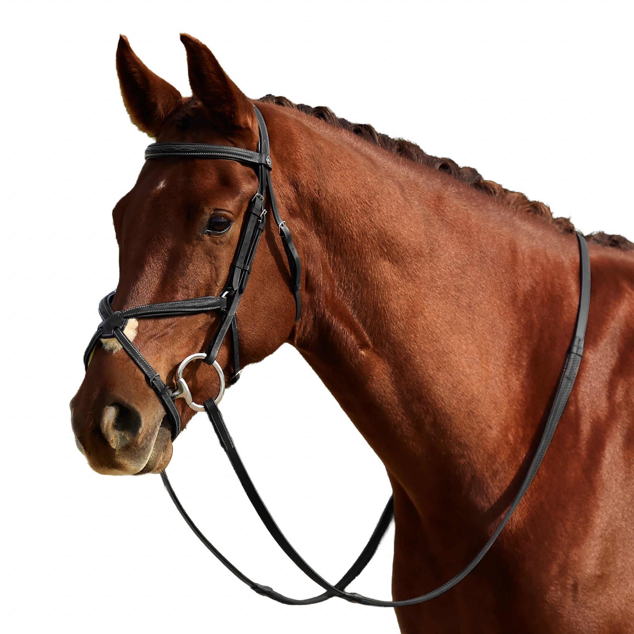 Dublin Padded Fancy Stitch Grackle Bridle - Image 5