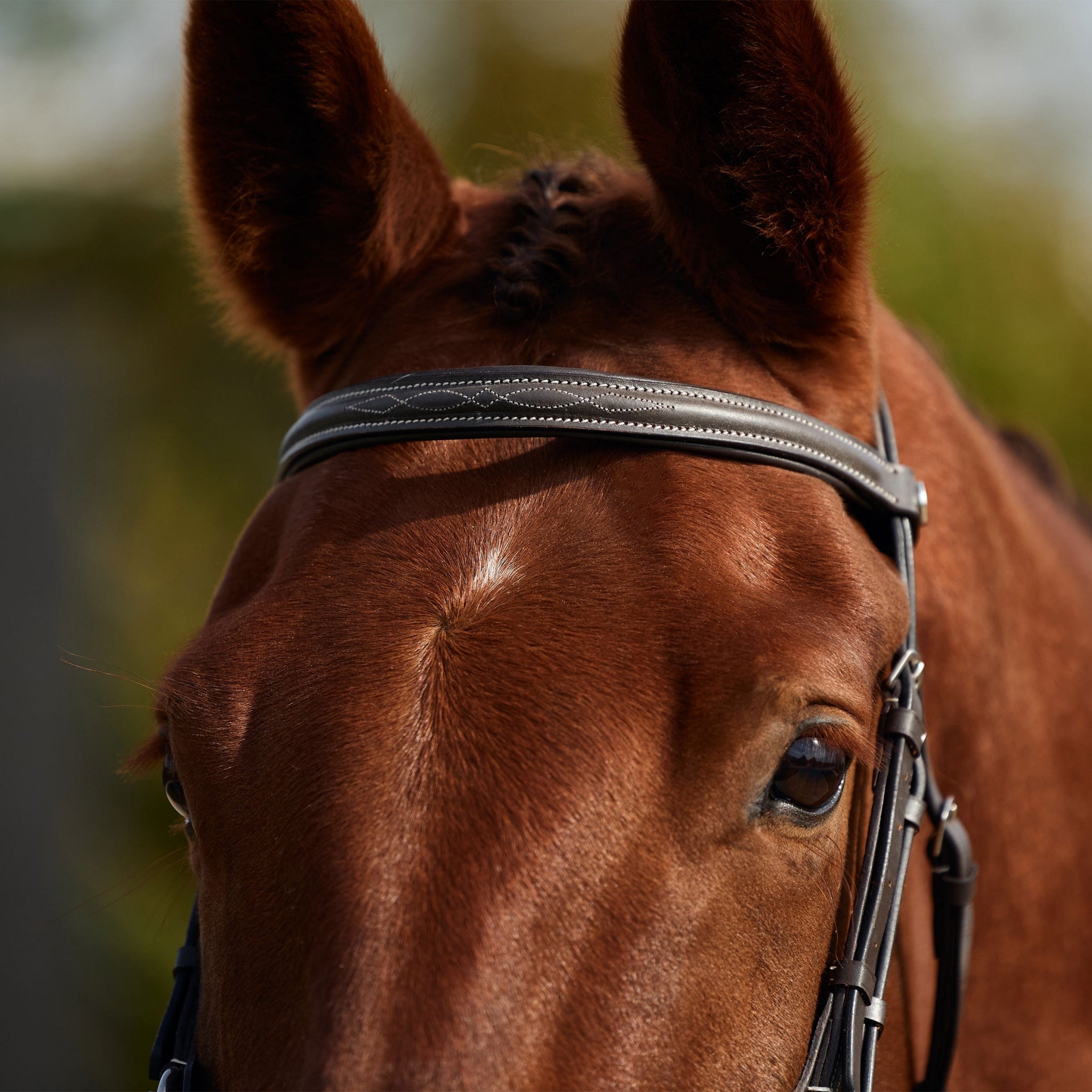 Dublin Padded Fancy Stitch Grackle Bridle - Image 6
