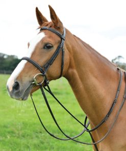 Dublin Standing Martingale