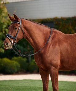 Dublin Padded Patent Flash Bridle