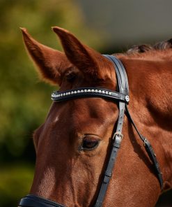 Alternative view of Dublin Padded Patent Flash Bridle
