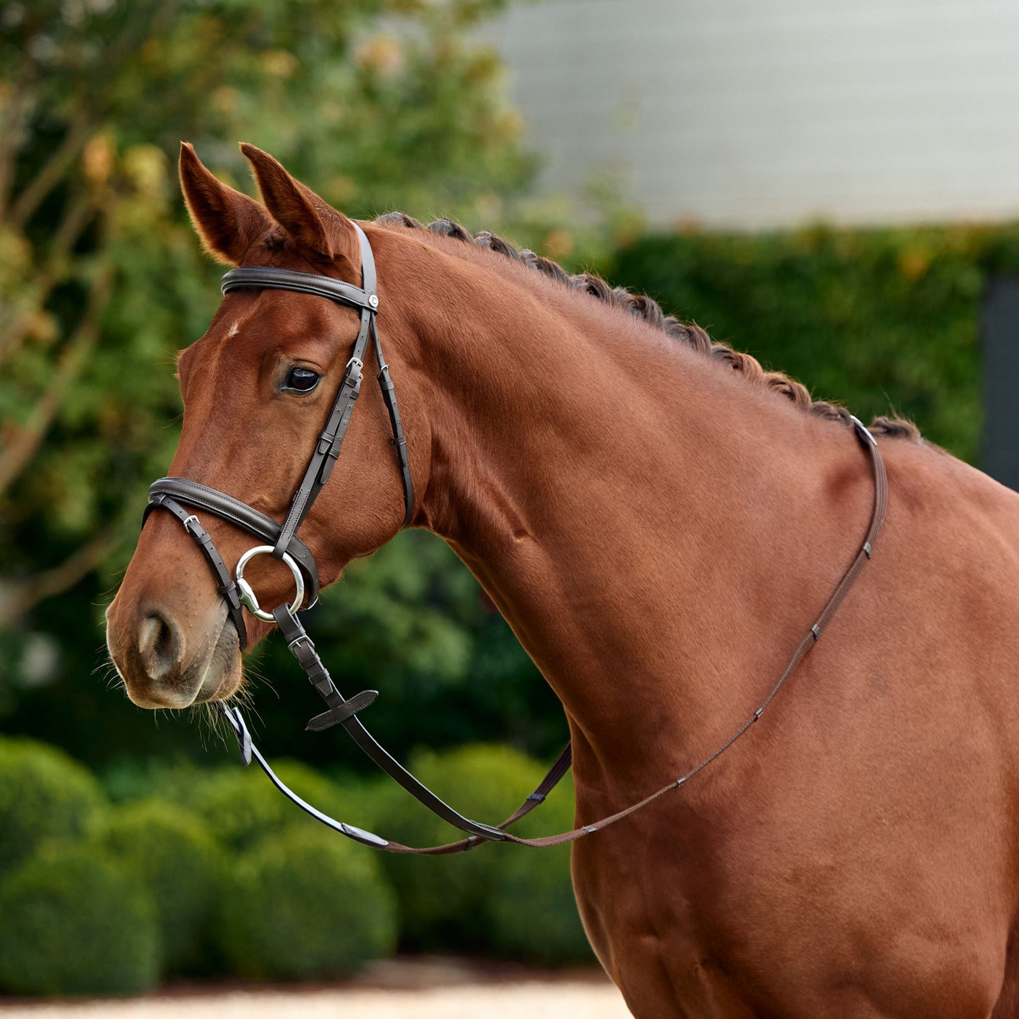 Dublin Flash Bridle - Image 2
