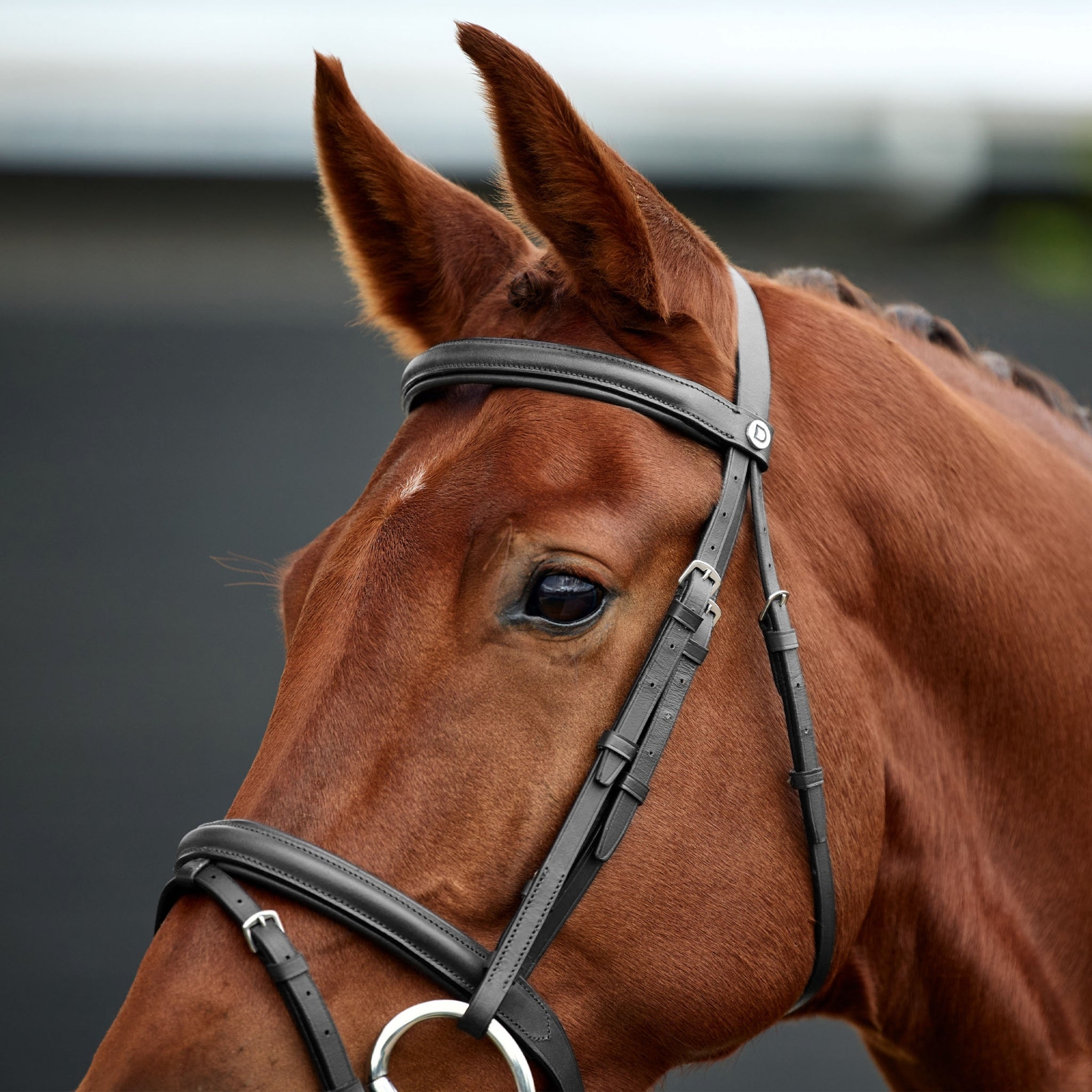 Dublin Flash Bridle - Image 3