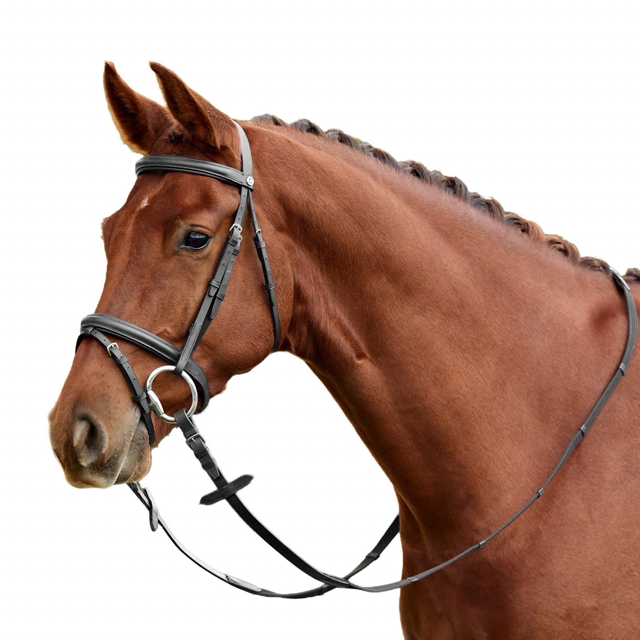 Dublin Flash Bridle - Image 5