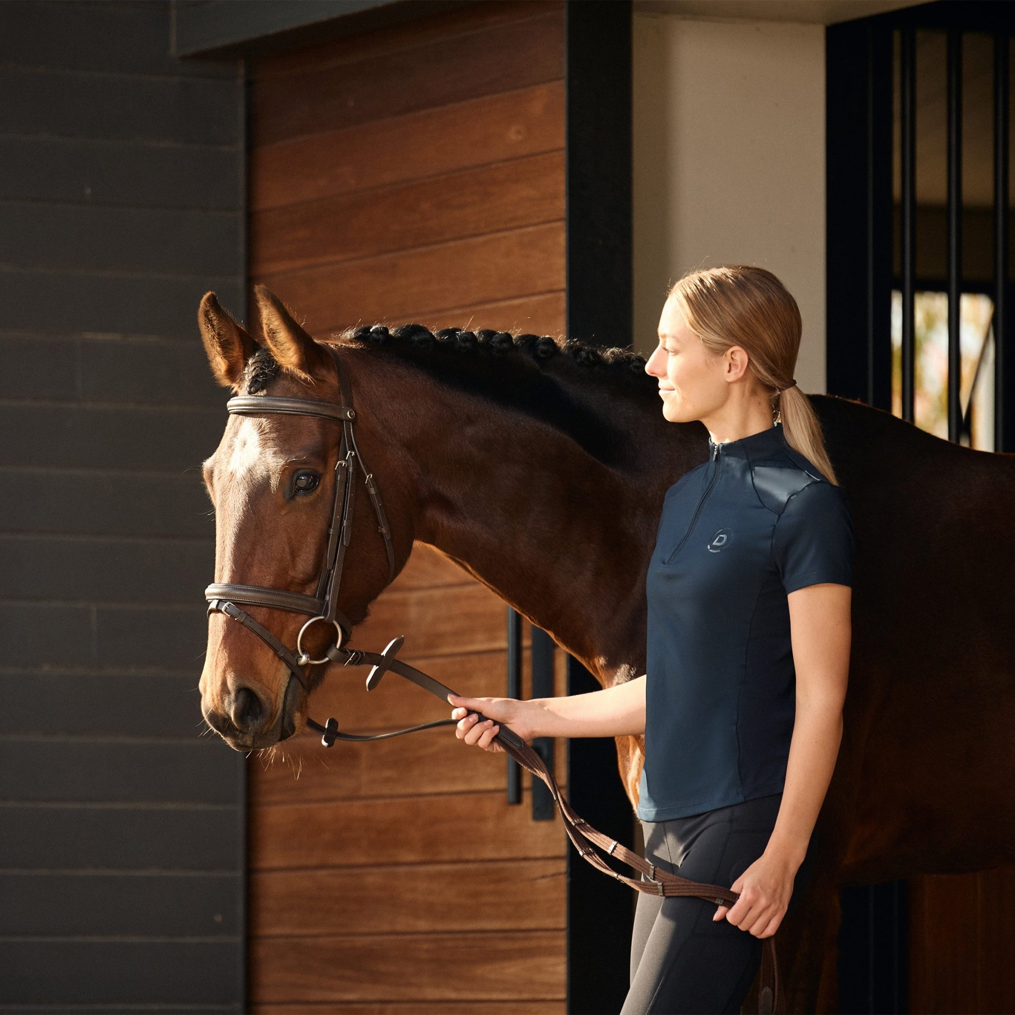 Dublin Flash Bridle - Image 8