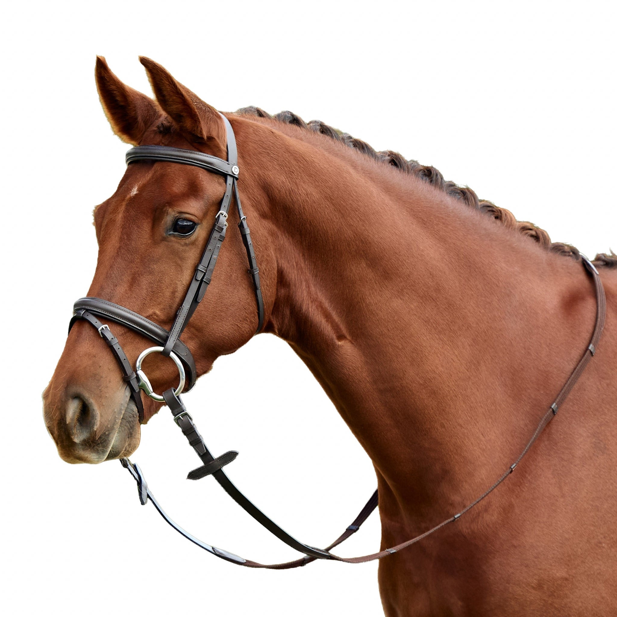 Dublin Flash Bridle - Image 9