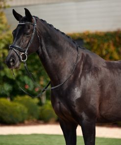 Dublin Patent Bridle