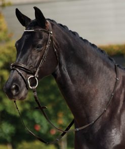 Alternative view of Dublin Patent Bridle