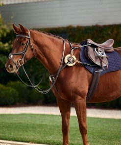 Alternative view of Dublin 5-Point Event Breastplate