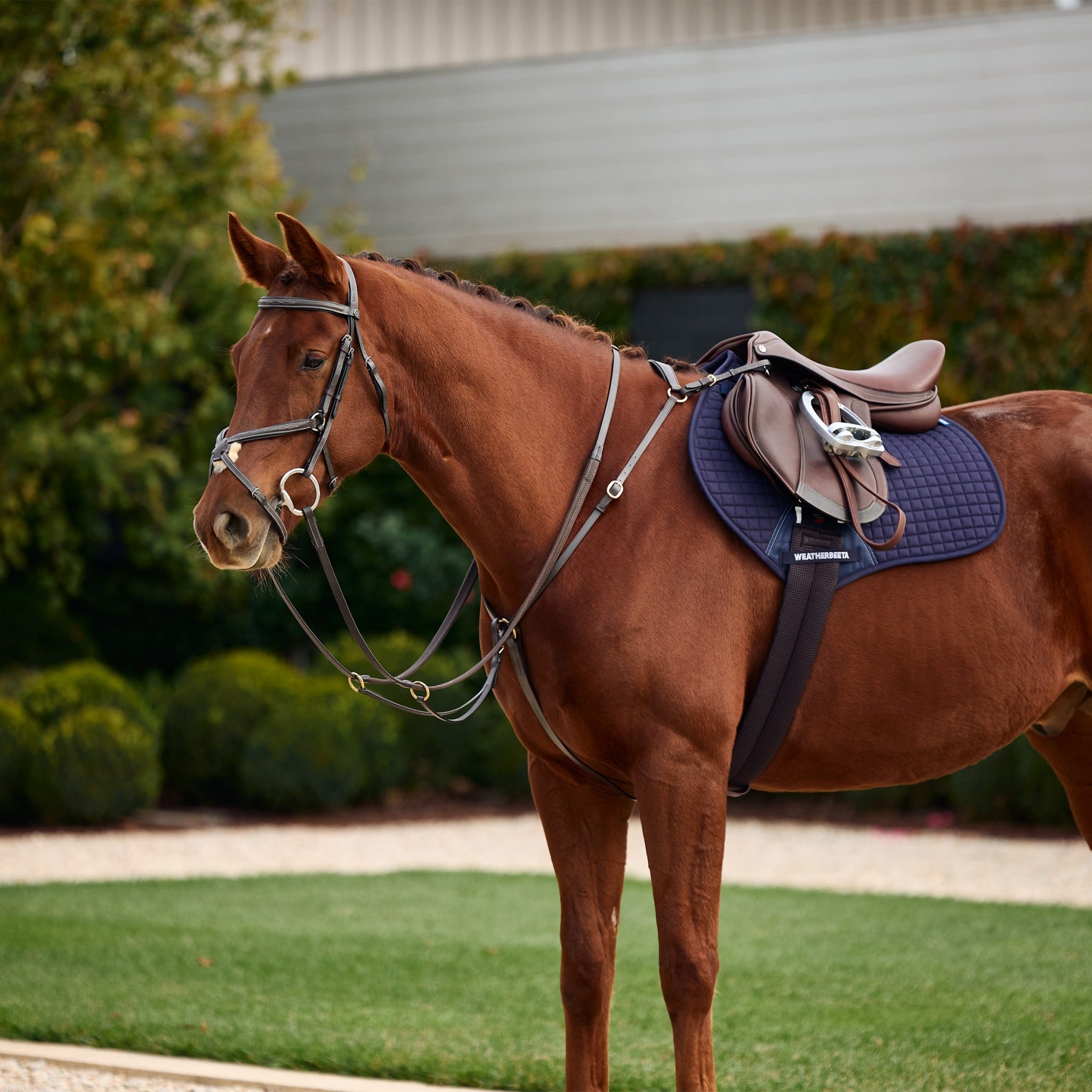 Dublin 3-Point Breastplate - Image 2