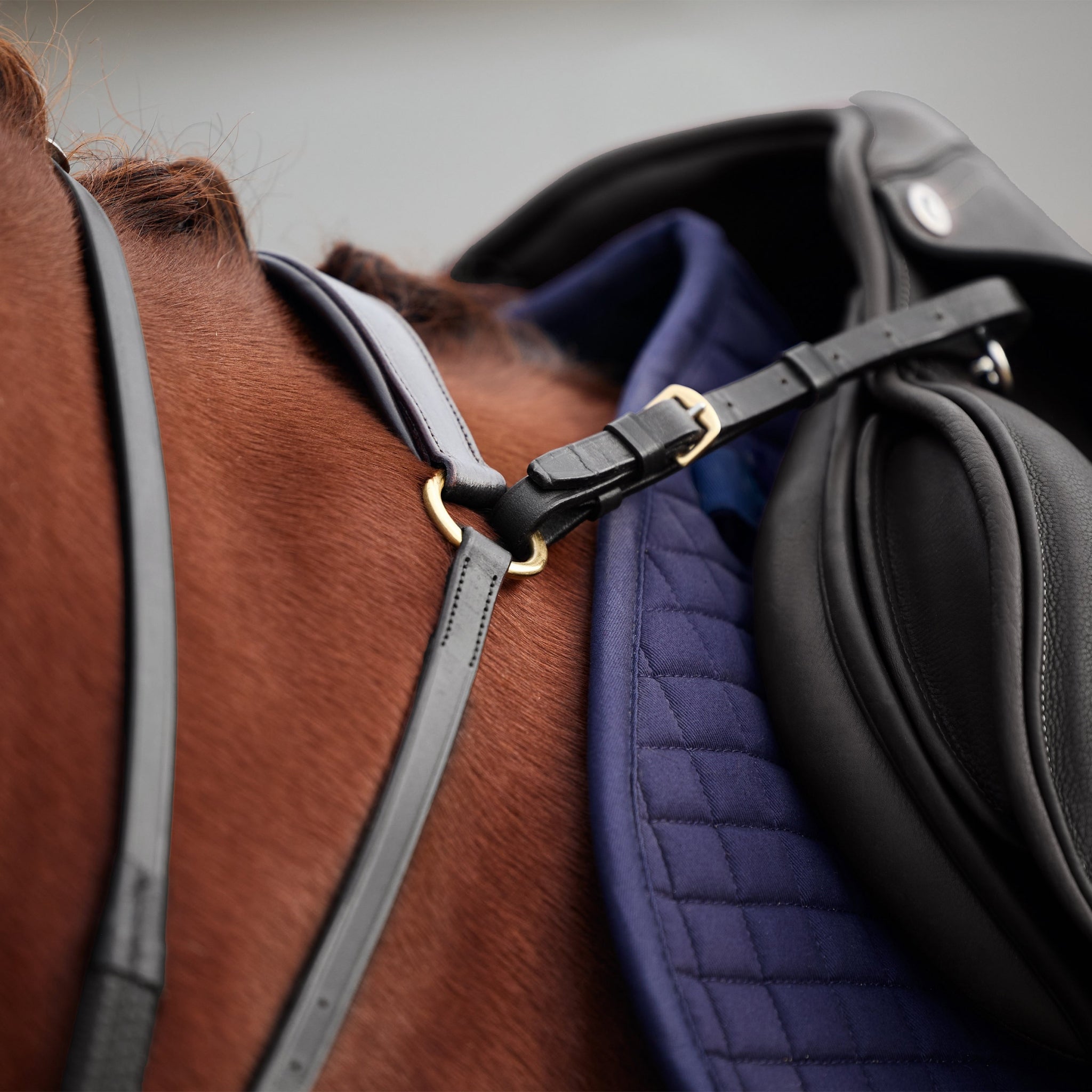 Dublin 3-Point Breastplate - Image 3
