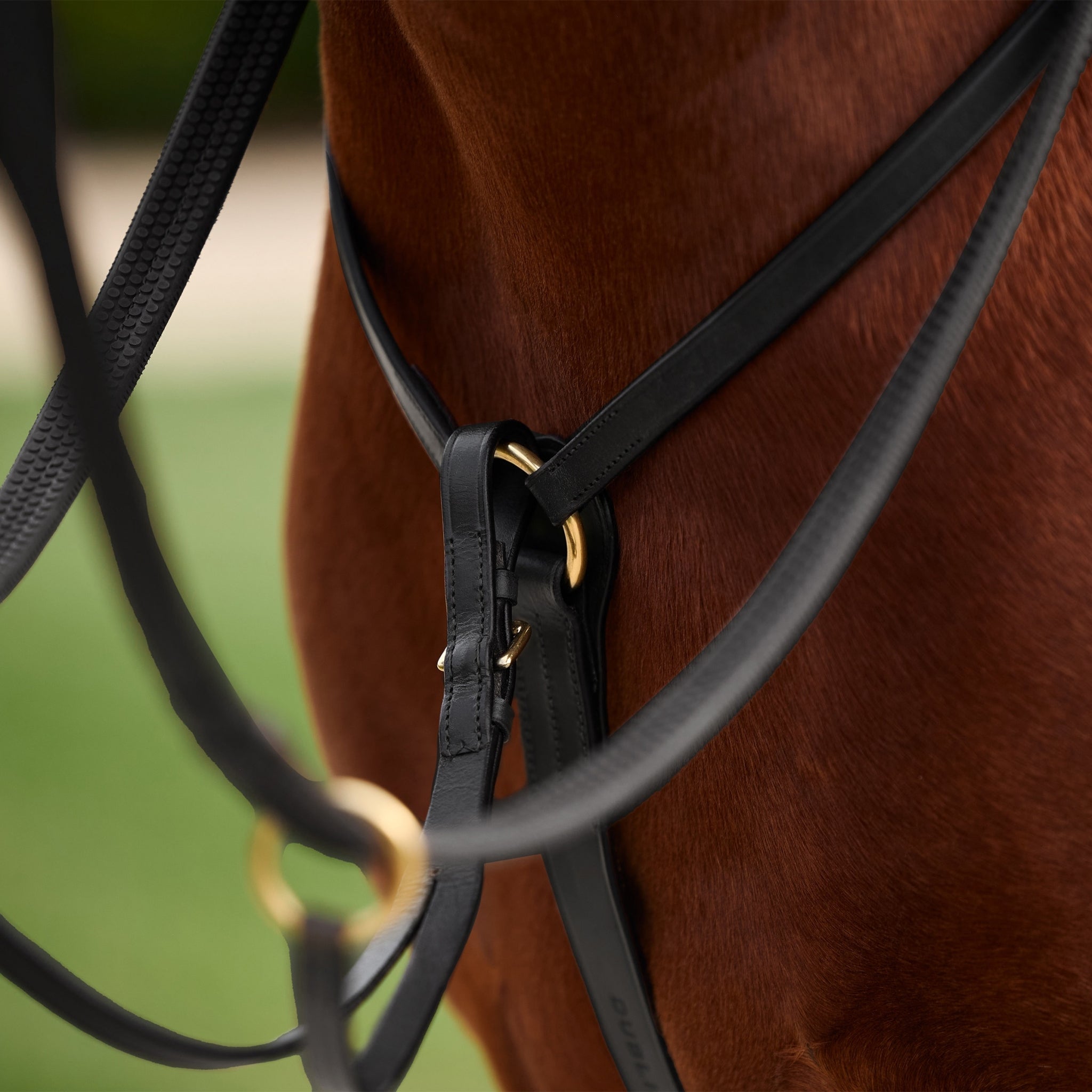 Dublin 3-Point Breastplate - Image 5