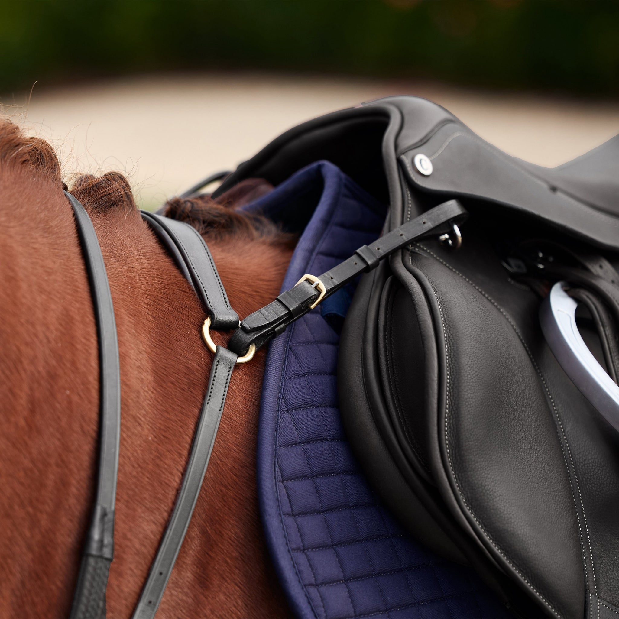 Dublin 3-Point Breastplate - Image 6